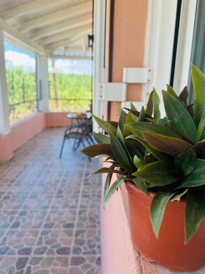 Venetian Gem Corfu Retreat